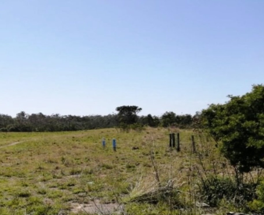Commercial Property for Sale in Cove Rock Eastern Cape